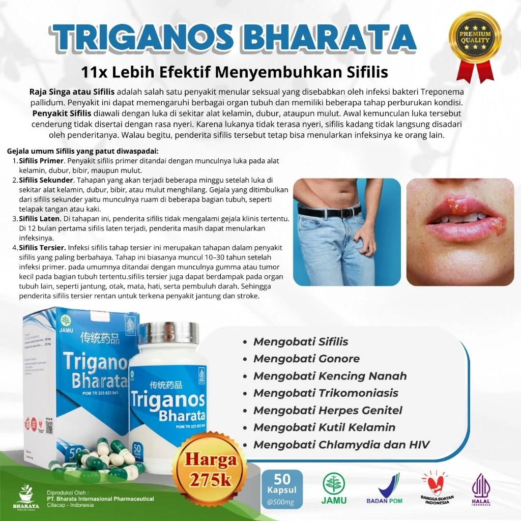 Triganos Bharata – Tampak 4