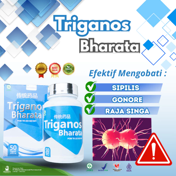 Triganos Bharata – Tampak 5